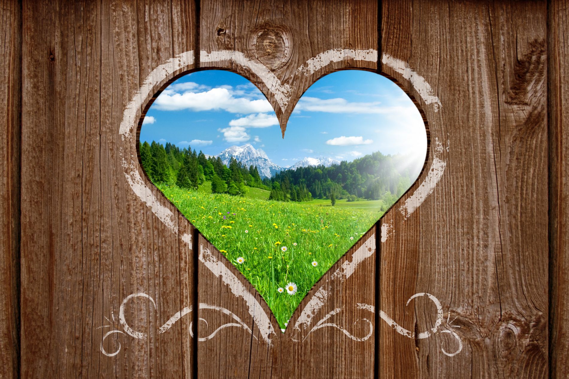 Fotolia 22758640 Subscription XL