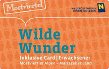 wilde wunder card